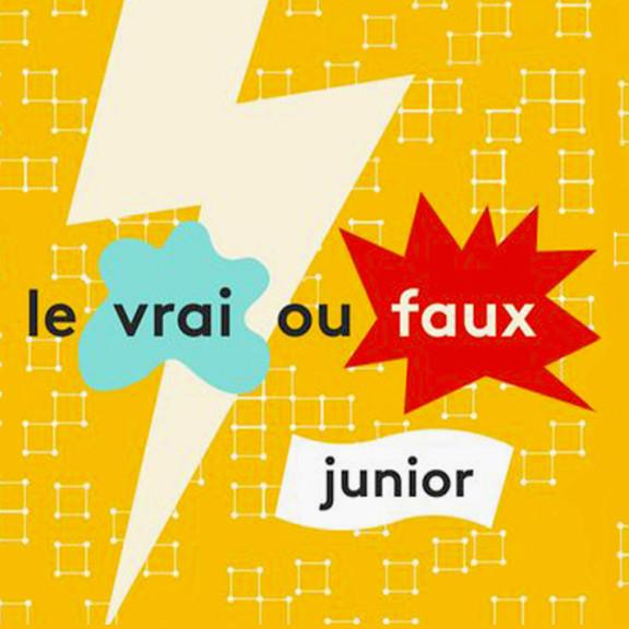 Vrai ou Faux franceinfo